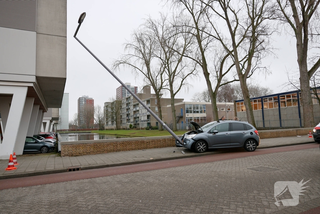 Bestuurder botst tegen lantaarnpaal na uitwijken voor zwaan