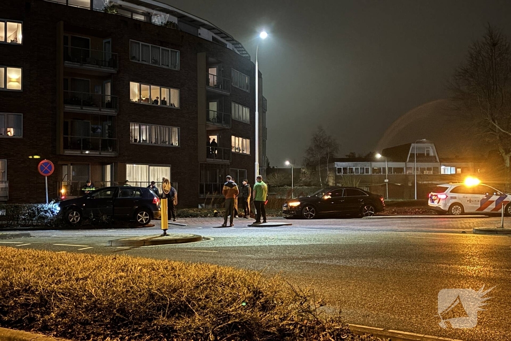 Auto komt in struiken tot stilstand