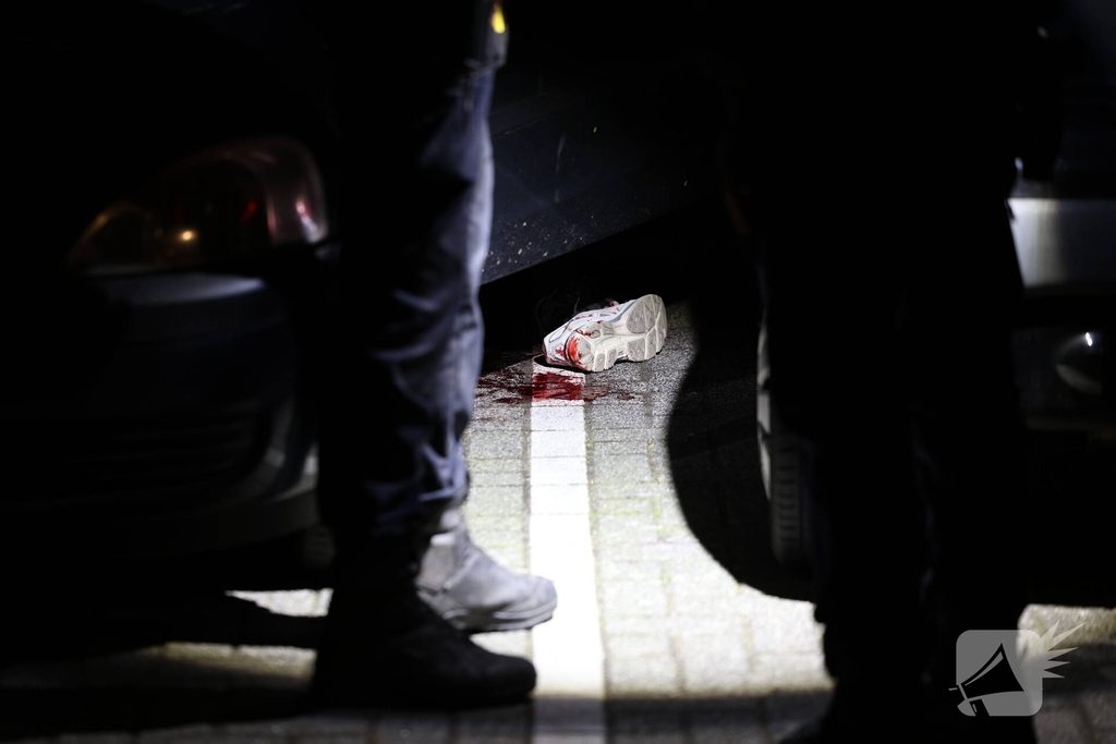 Schietpartij zorgt voor grote politie-inzet