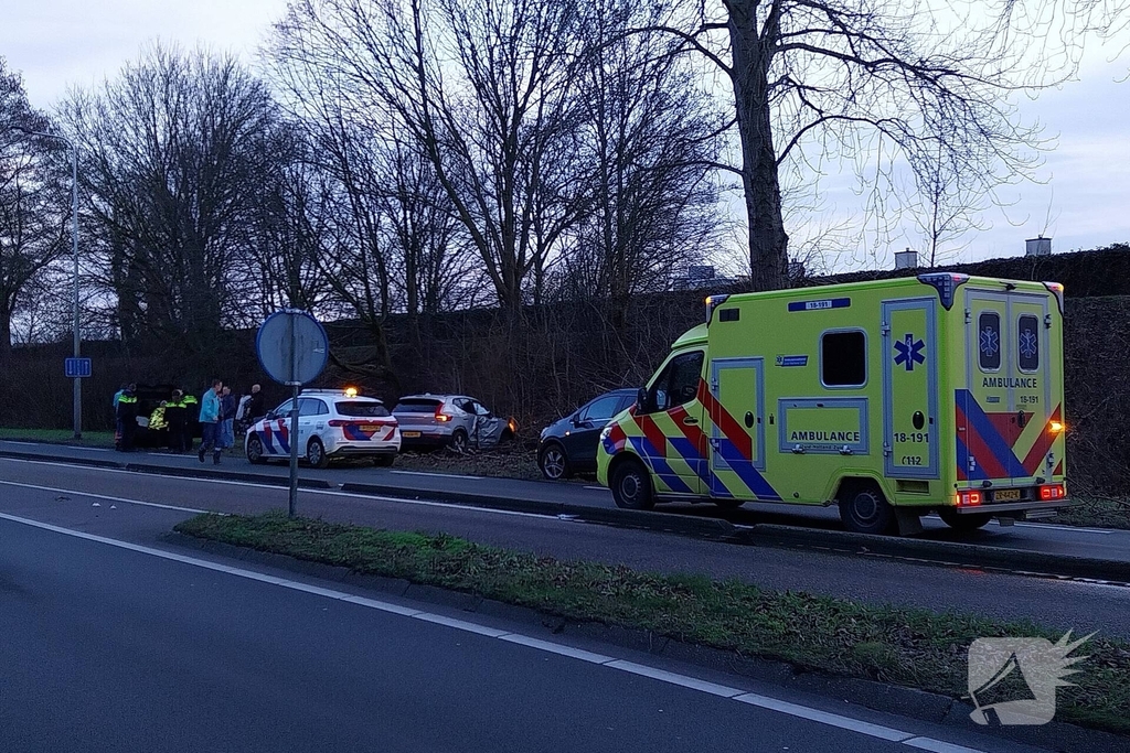 Automobilist botst tegen boom en raakt gewond