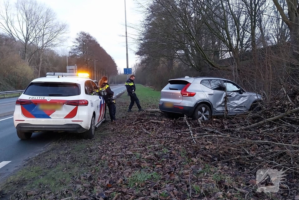 Automobilist botst tegen boom en raakt gewond