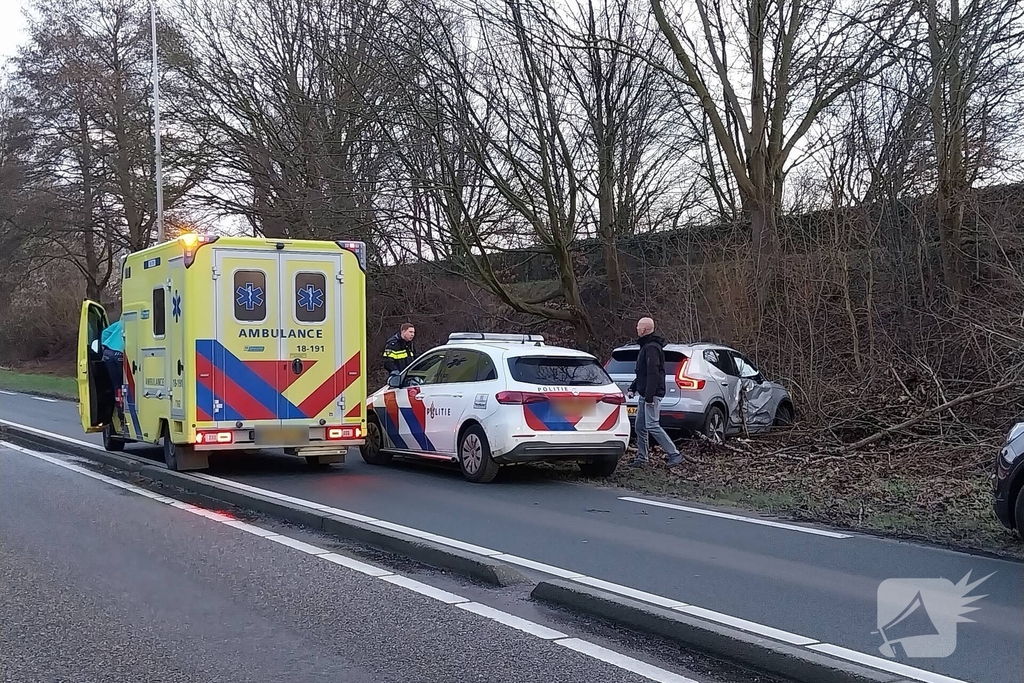 Automobilist botst tegen boom en raakt gewond