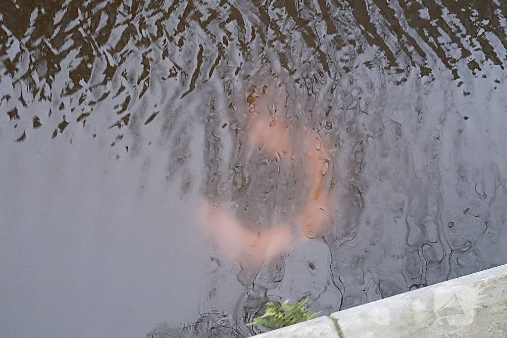 Scooterrijder gewond na te water raken