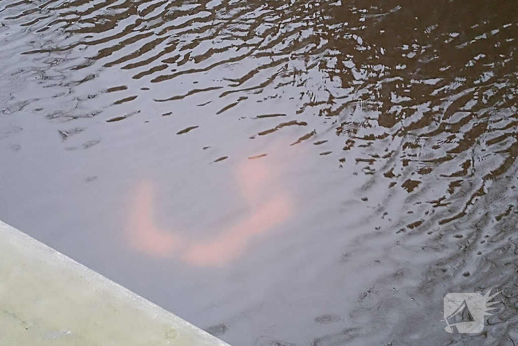 Scooterrijder gewond na te water raken