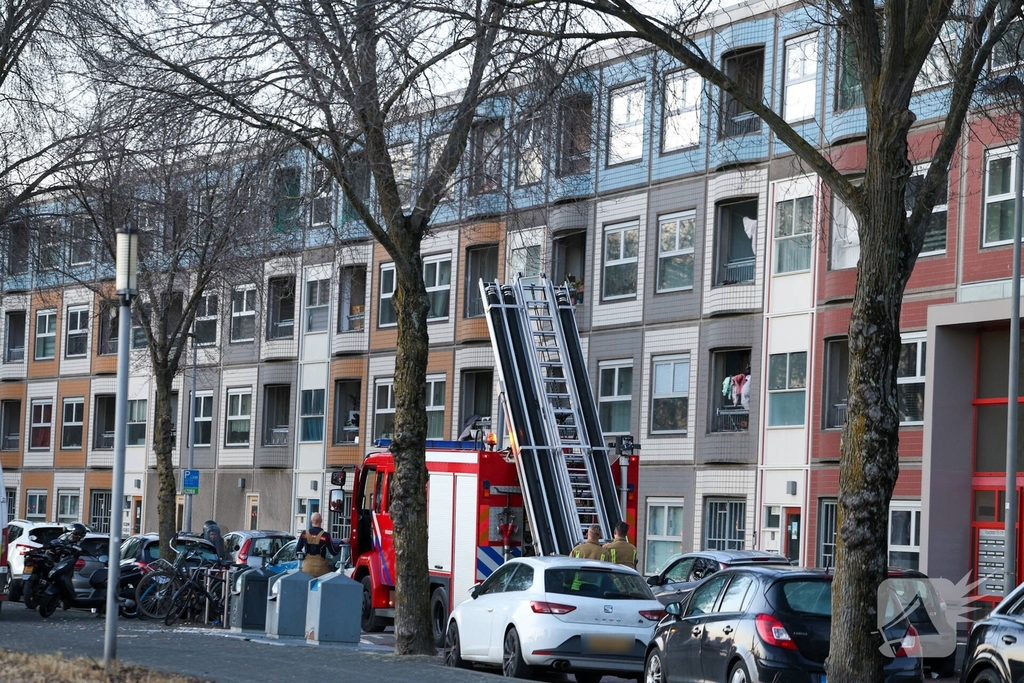 Zwaan gewond door mishandeling met stenen