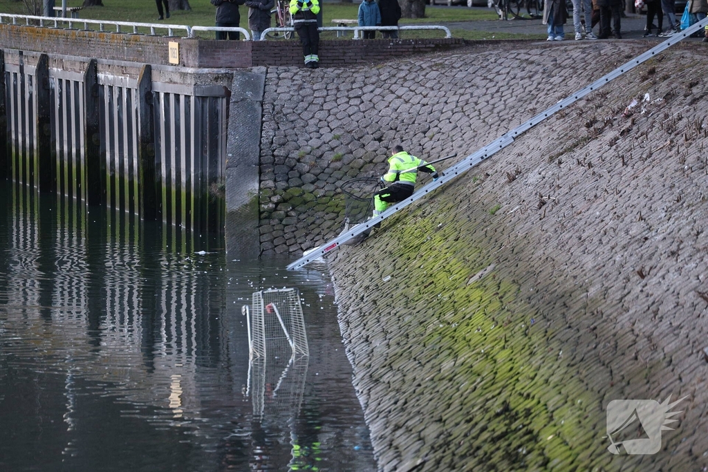 Zwaan gewond door mishandeling met stenen