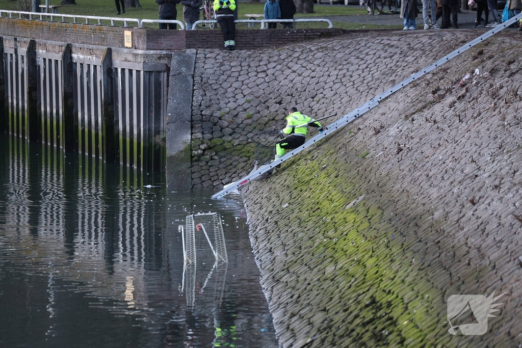 Zwaan gewond door mishandeling met stenen