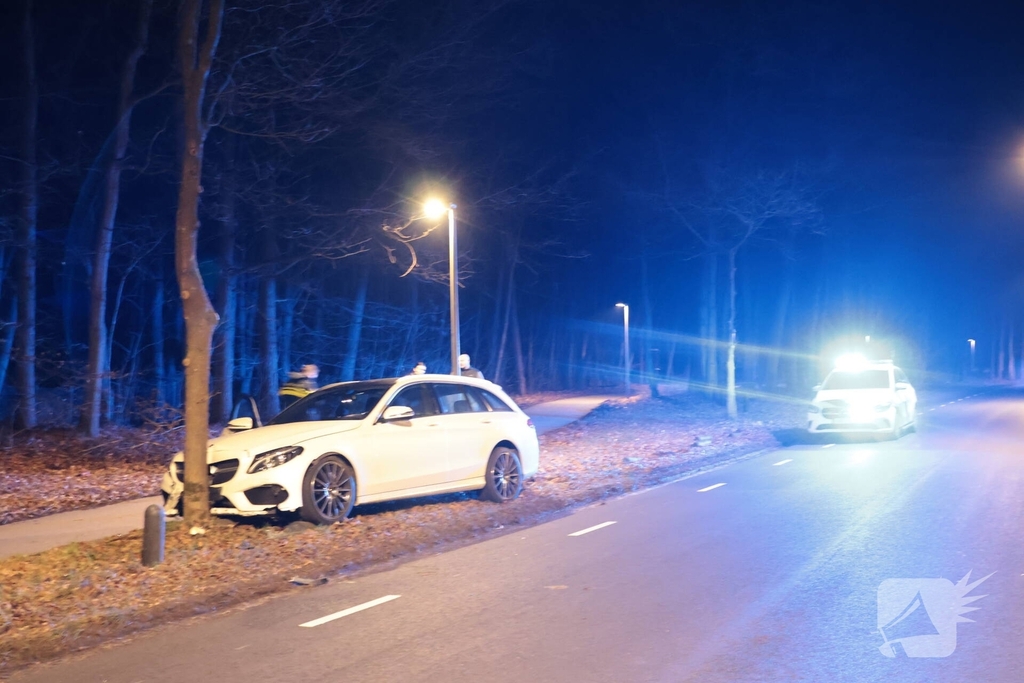 Auto botst tegen boom na uitwijkmaneuvre