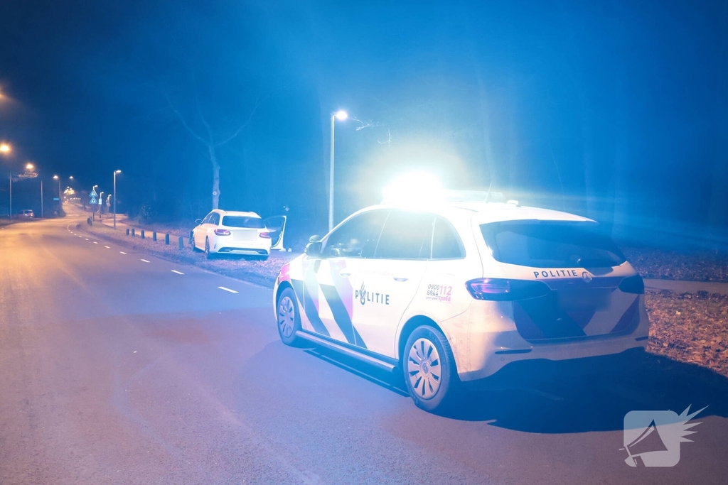 Auto botst tegen boom na uitwijkmaneuvre