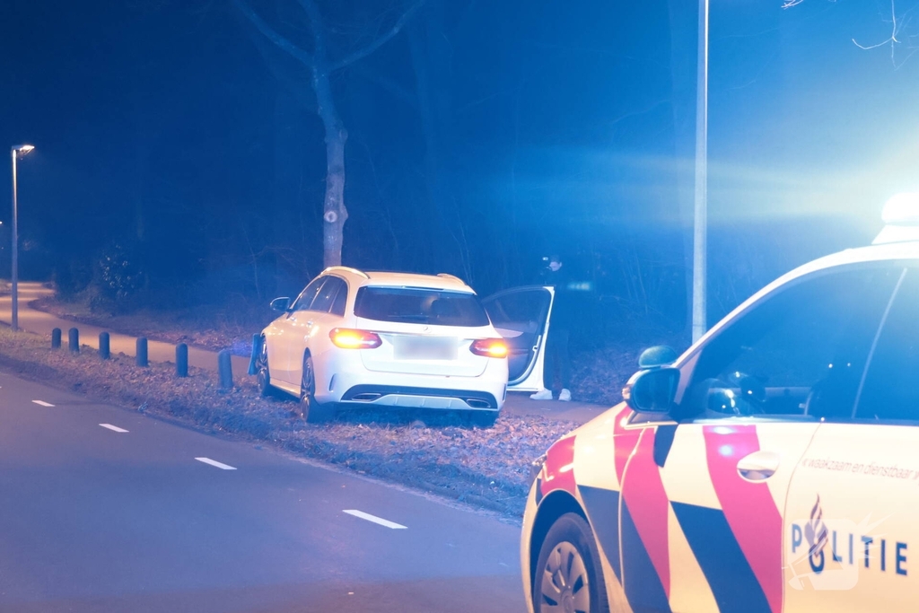 Auto botst tegen boom na uitwijkmaneuvre