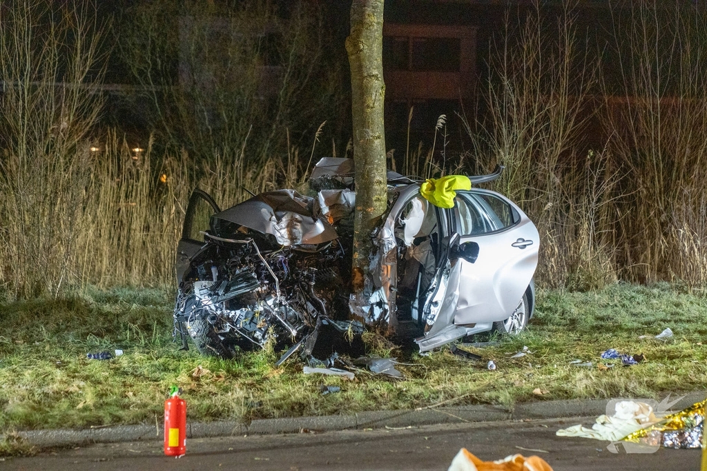Auto botst tegen boom, drie personen gewond