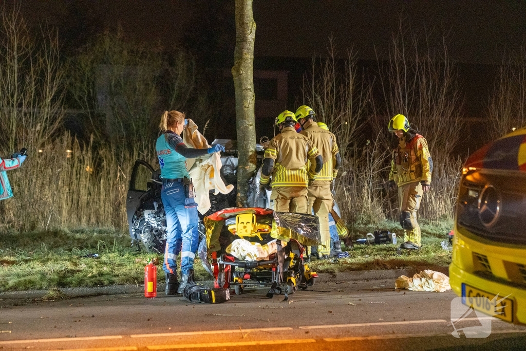 Auto botst tegen boom, drie personen gewond