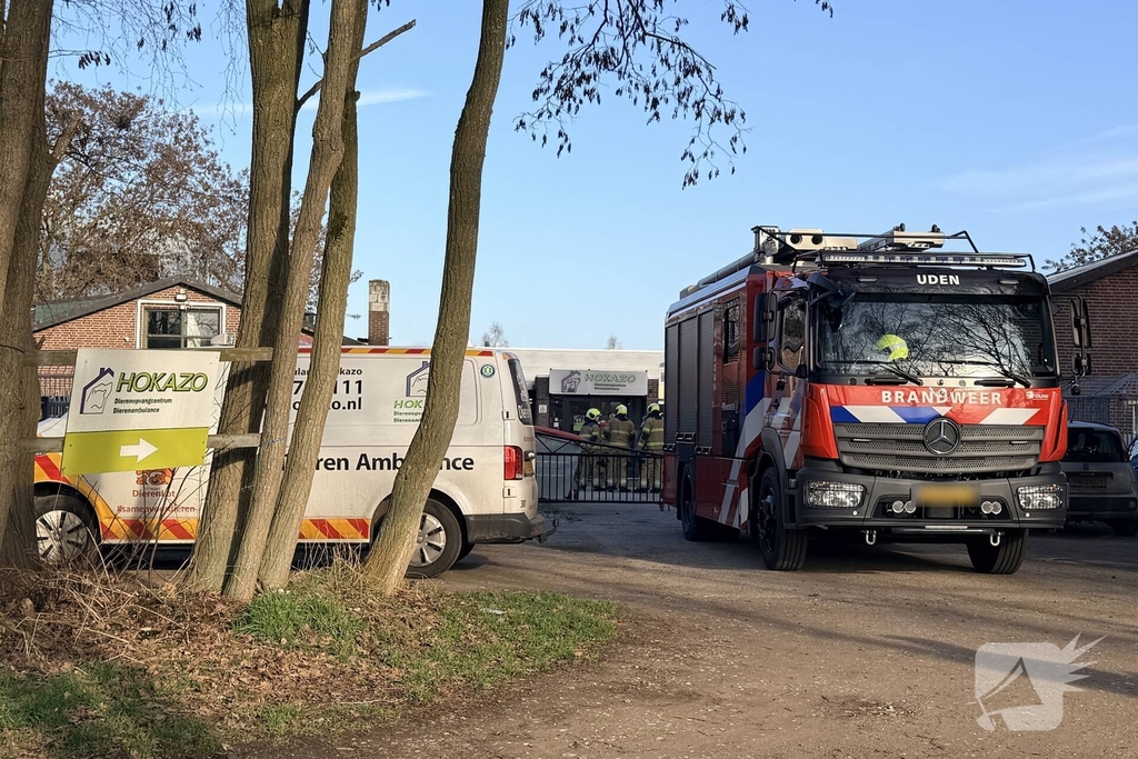 Poes bevrijd uit benarde situatie