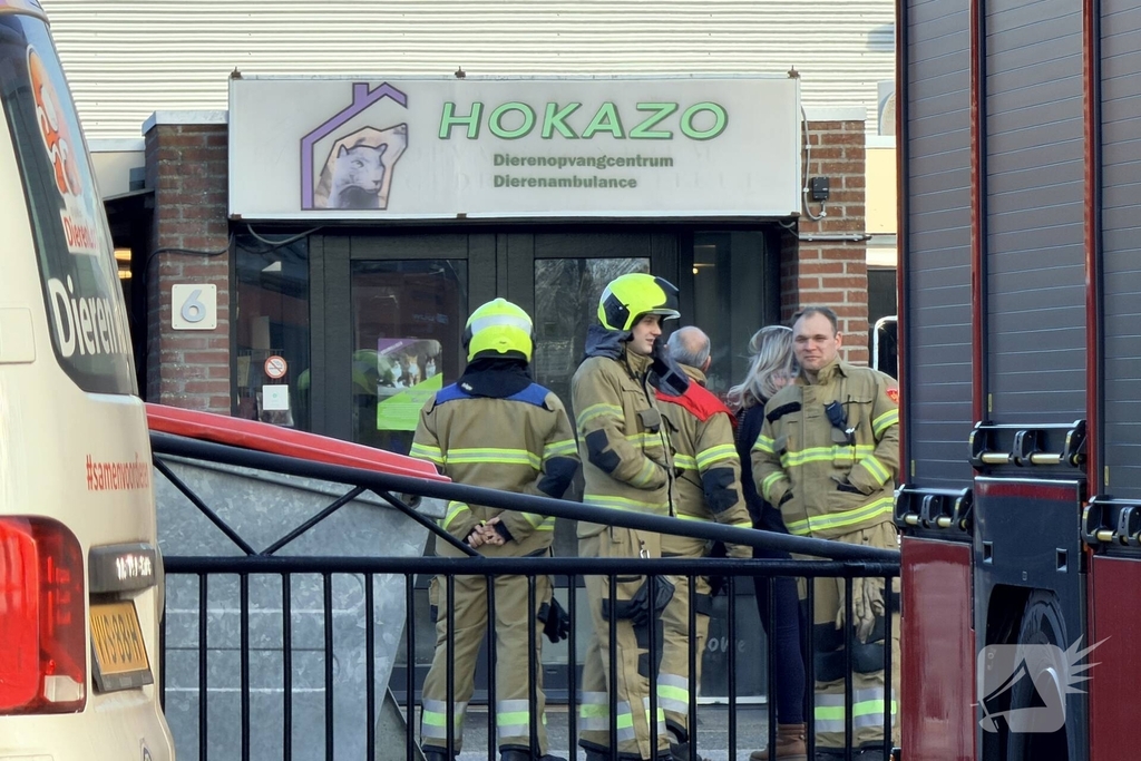 Poes bevrijd uit benarde situatie