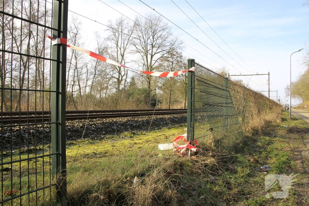 Hond overleden na aanrijding met trein