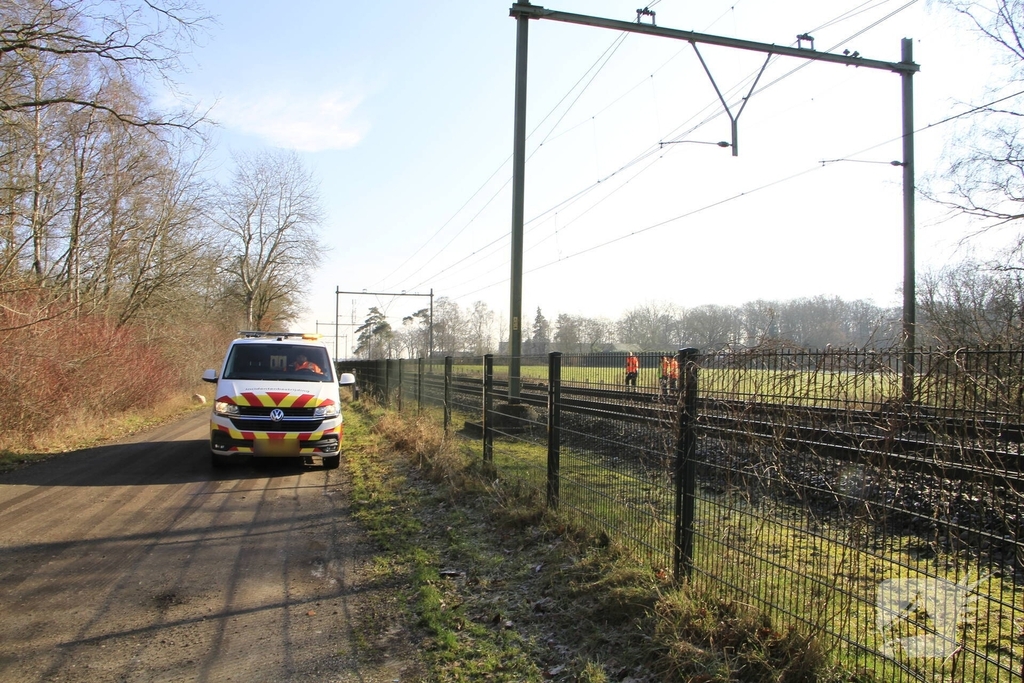 Hond overleden na aanrijding met trein