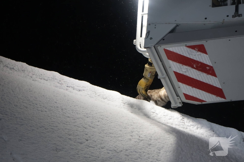 Brandweer redt kat van dak