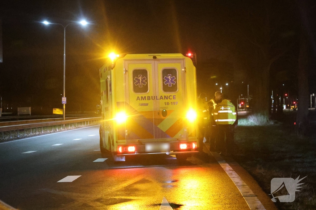 Bestelbus botst tegen boom