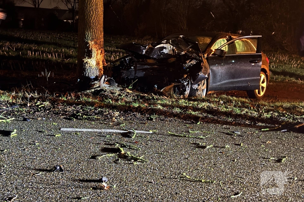 Ravage nadat auto tegen boom crasht