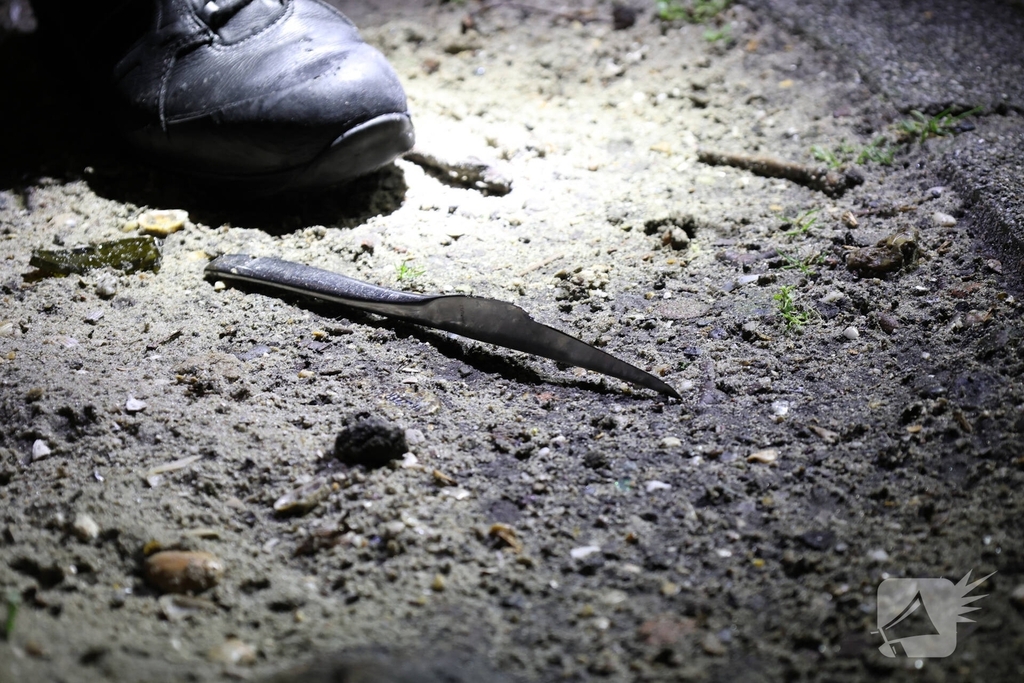 Steekincident leidt tot verwondingen aan gezicht