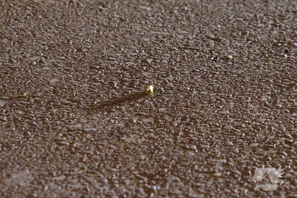 Twee verdachten van schietpartij in beeld, één opgepakt en uitgeleverd