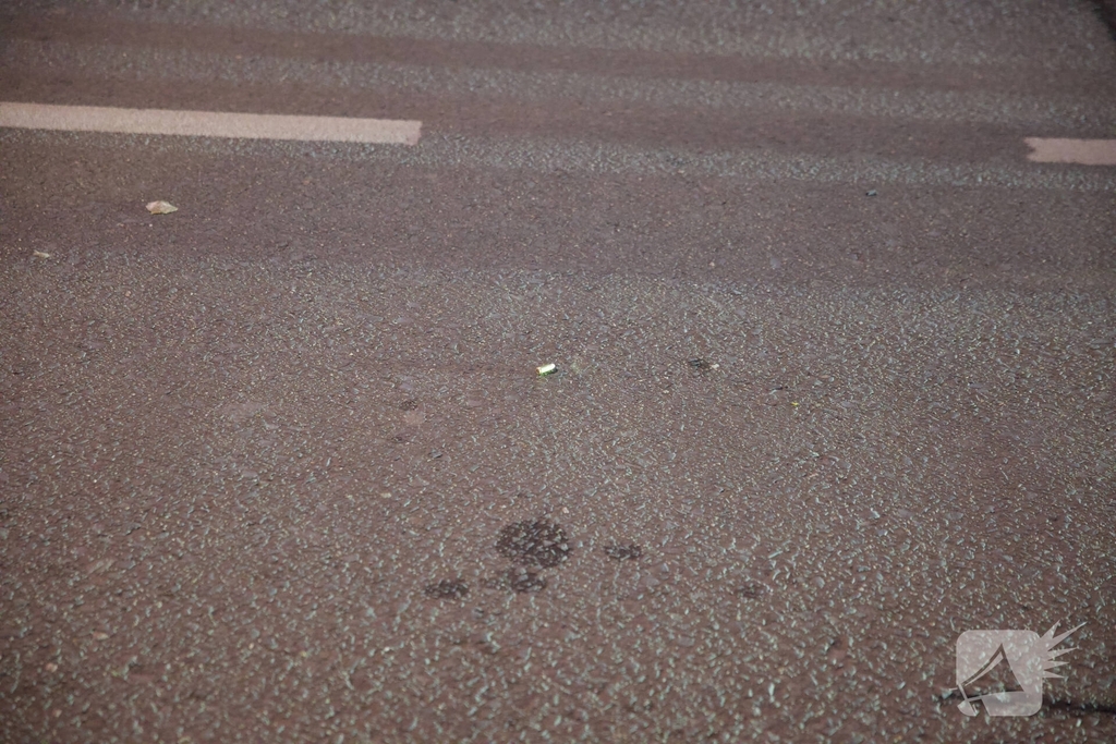 Twee verdachten van schietpartij in beeld, één opgepakt en uitgeleverd