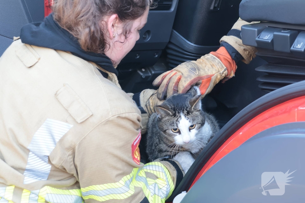 Woningbrand leidt tot redding van kat