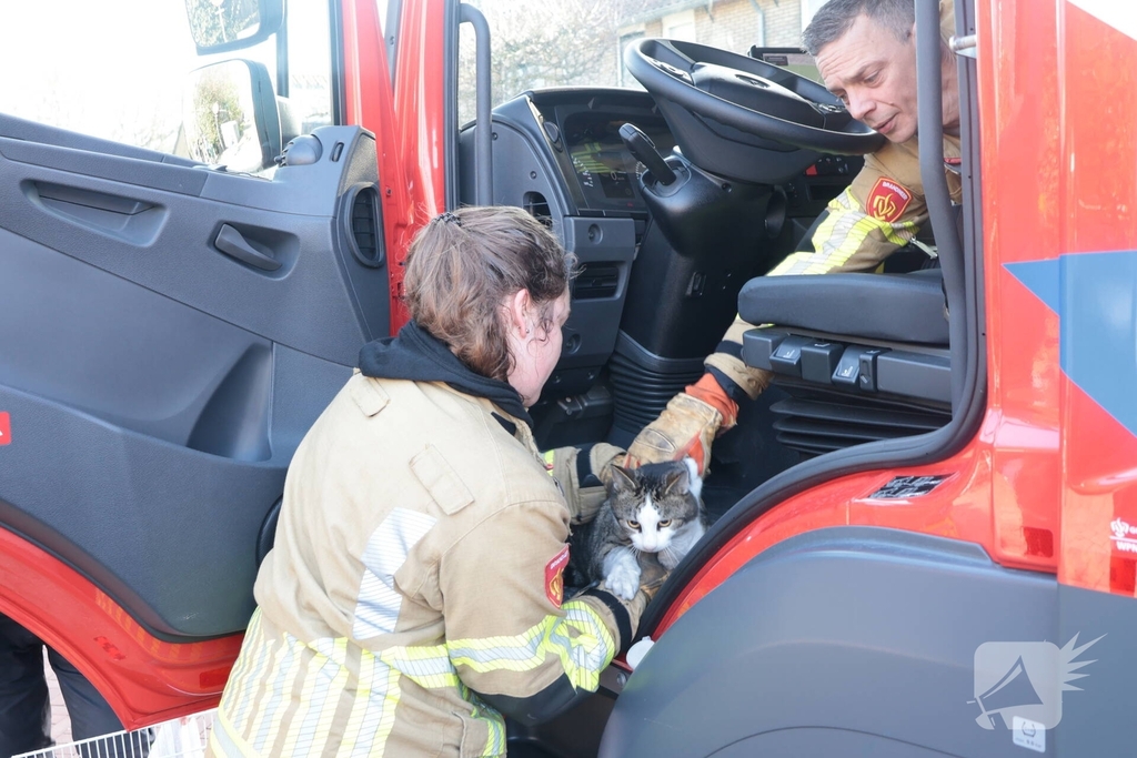 Woningbrand leidt tot redding van kat