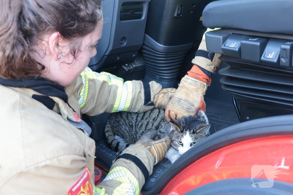 Woningbrand leidt tot redding van kat