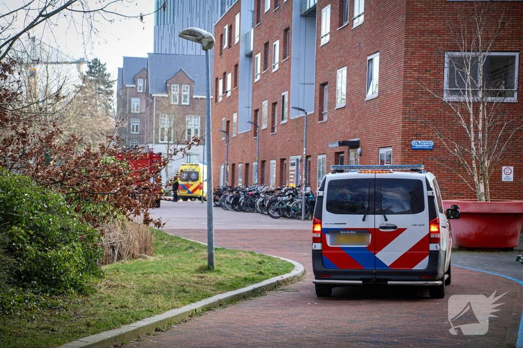 Hulpdiensten halen persoon van dak