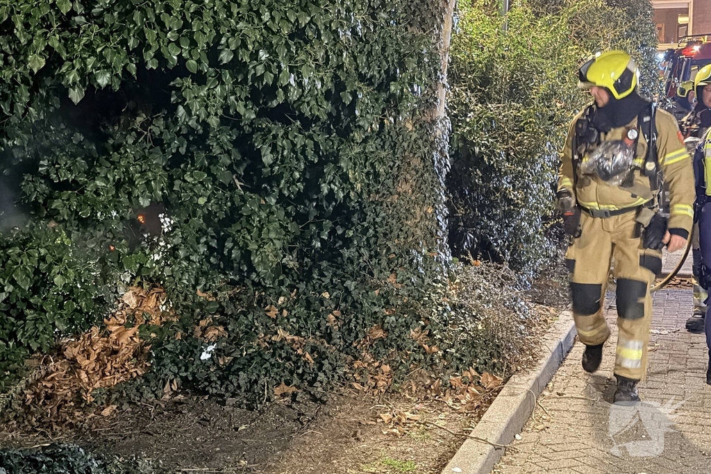 Brand in boom vergt ingreep van de brandweer