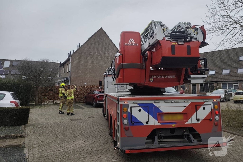 Brandweer helpt kat in nood