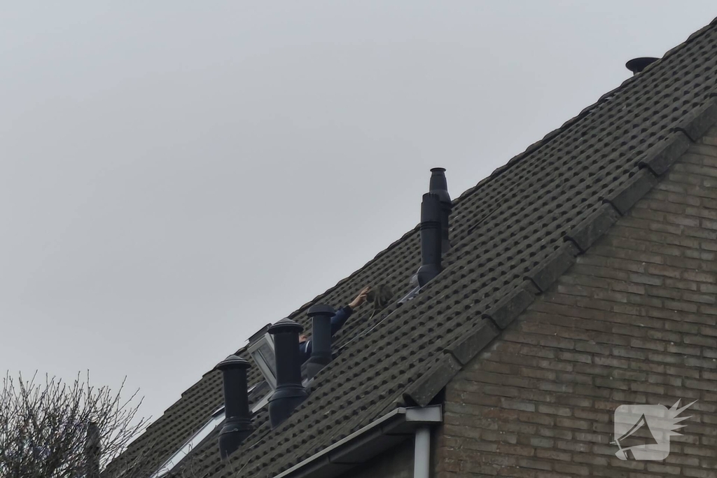 Brandweer helpt kat in nood