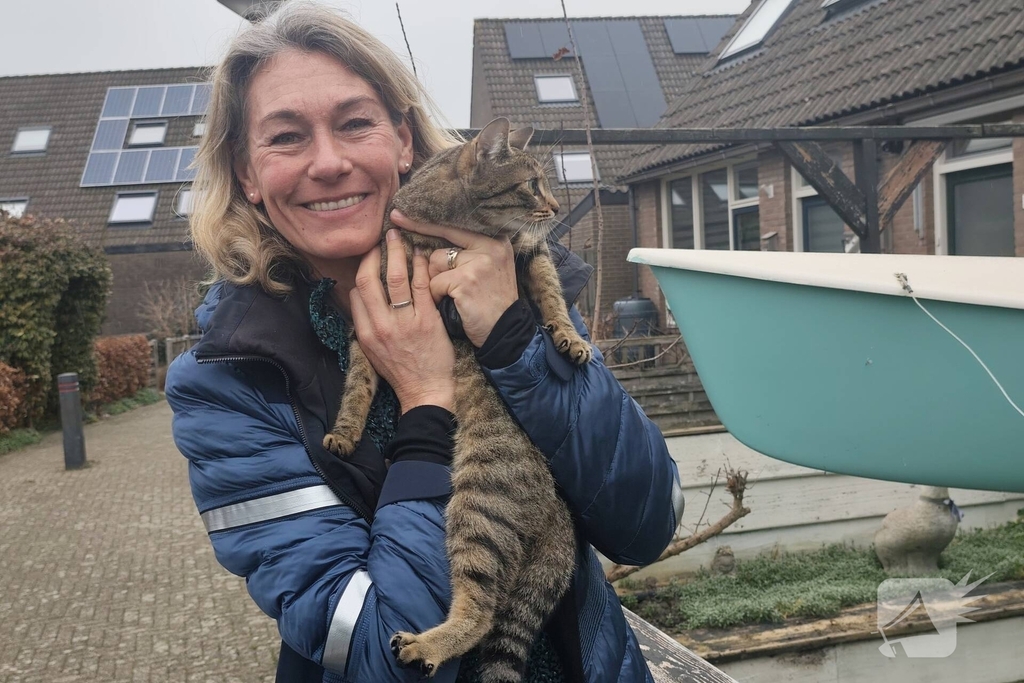 Brandweer helpt kat in nood