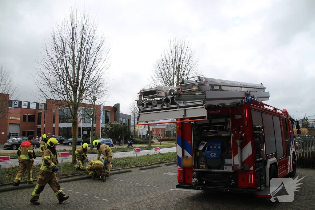 Brandweervrouw redt gans uit boom