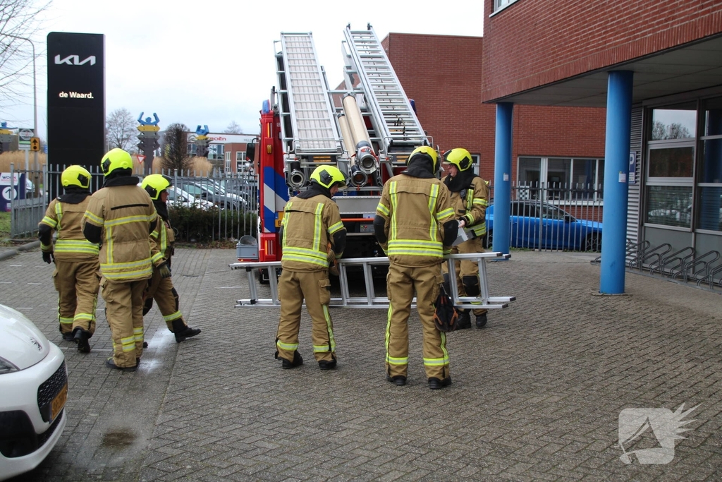 Brandweervrouw redt gans uit boom