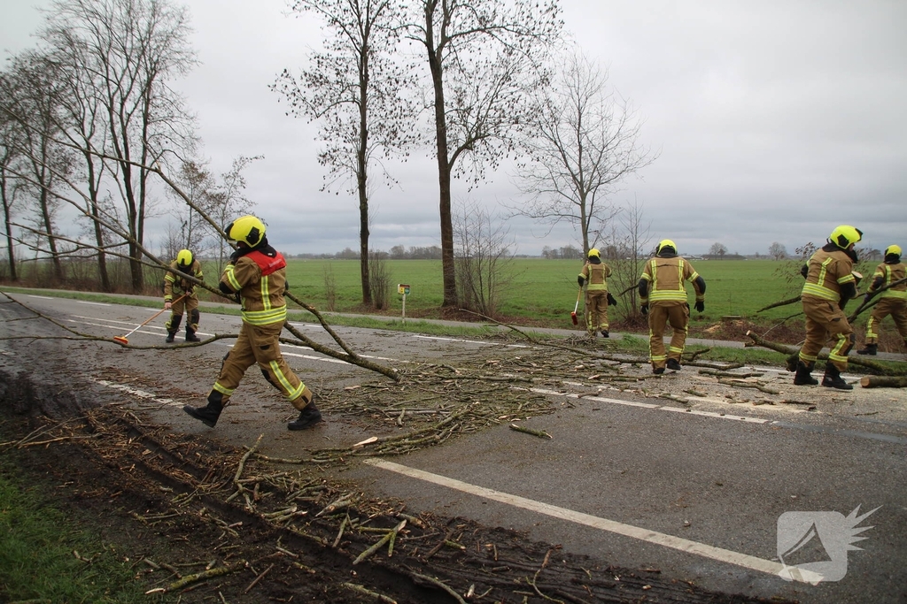 Boom valt op weg en veroorzaakt verkeersopstoppingen
