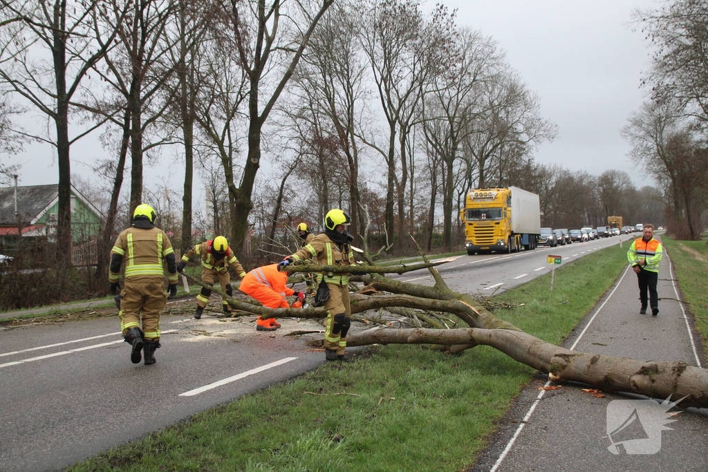 Boom valt op weg en veroorzaakt verkeersopstoppingen