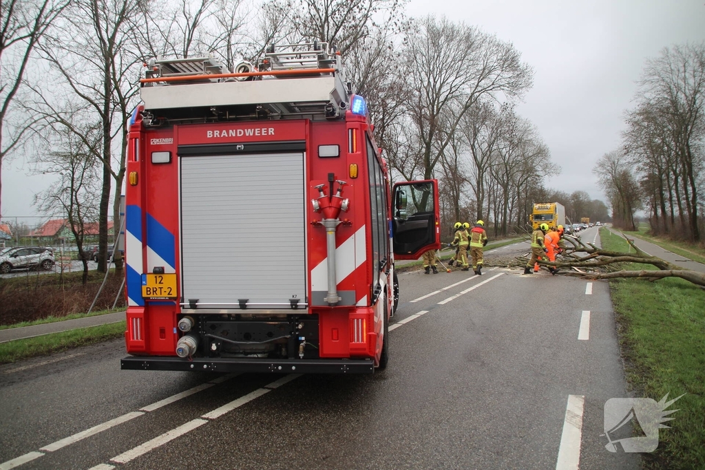 Boom valt op weg en veroorzaakt verkeersopstoppingen