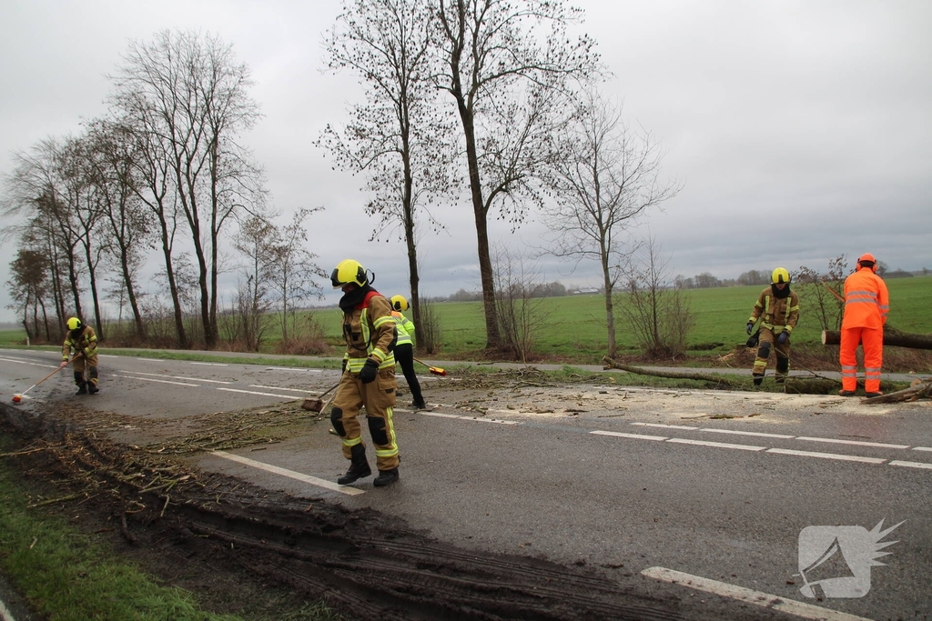 Boom valt op weg en veroorzaakt verkeersopstoppingen