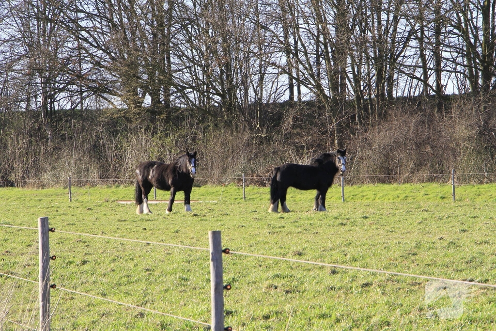 Buitenbrand veroorzaakt rookoverlast