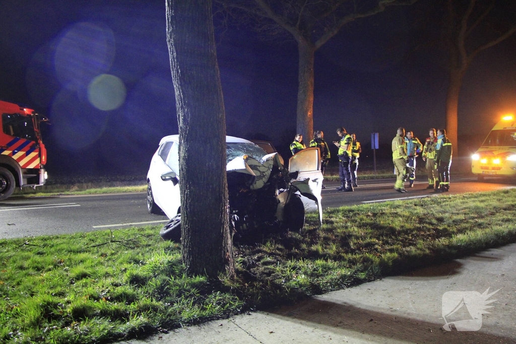 Bestuurder zwaargewond bij aanrijding met boom