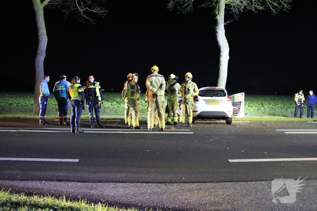 Bestuurder zwaargewond bij aanrijding met boom