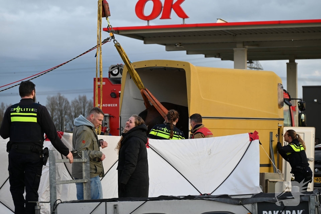 Paard zakt door vloer van trailer, brandweer schiet te hulp