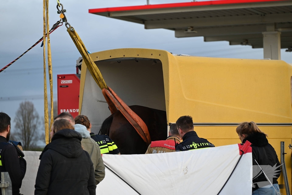 Paard zakt door vloer van trailer, brandweer schiet te hulp