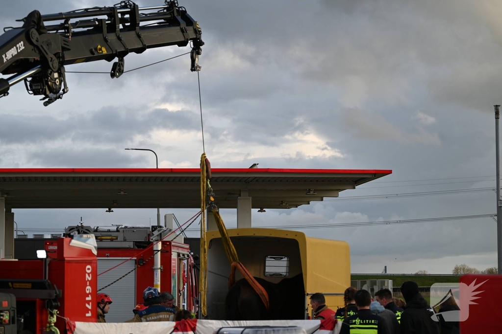 Paard zakt door vloer van trailer, brandweer schiet te hulp