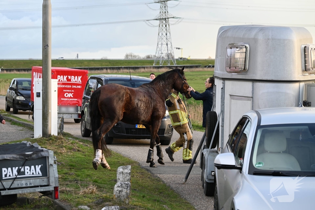 Paard zakt door vloer van trailer, brandweer schiet te hulp