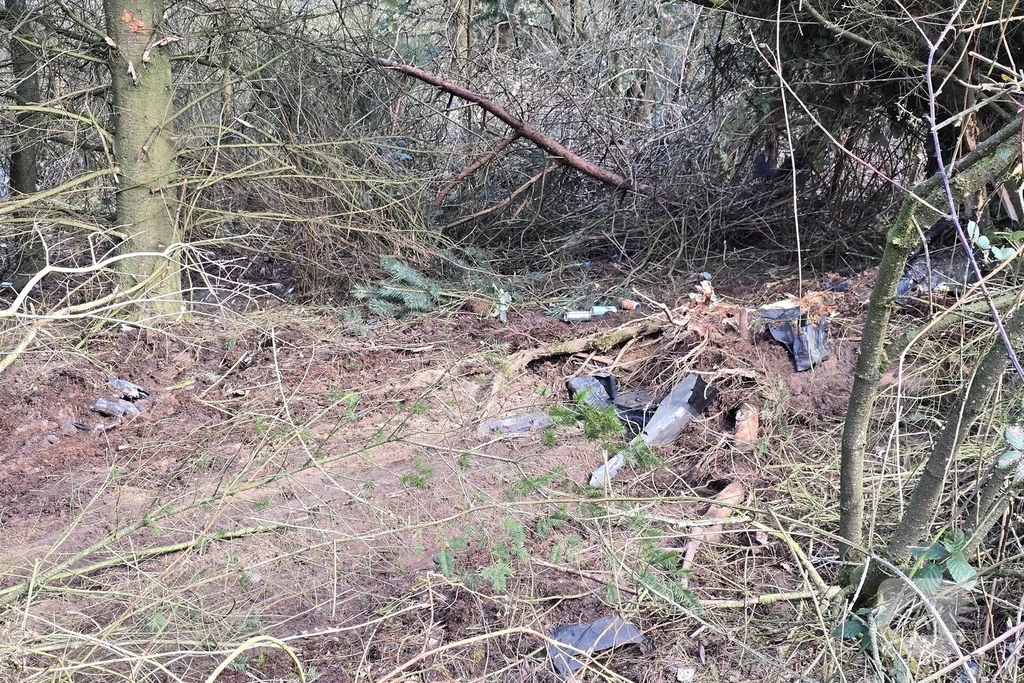 Bus raakt van de weg en belandt in bosje