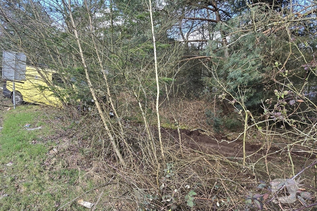 Bus raakt van de weg en belandt in bosje