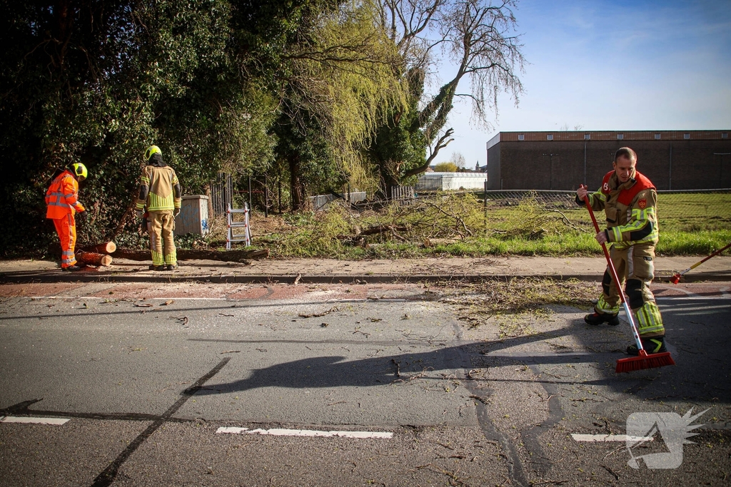 Brandweer verwijdert gevaarlijke takken na bijna ongeval